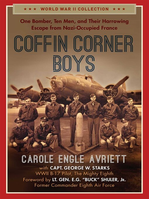 Title details for Coffin Corner Boys by Carole Engle Avriett - Wait list